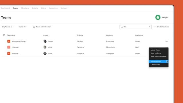 Organization Admin Settings: Teams [2/7] смотреть онлайн