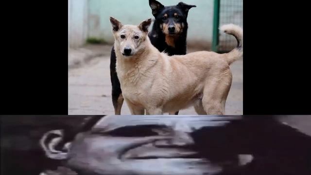 Кинофобия...