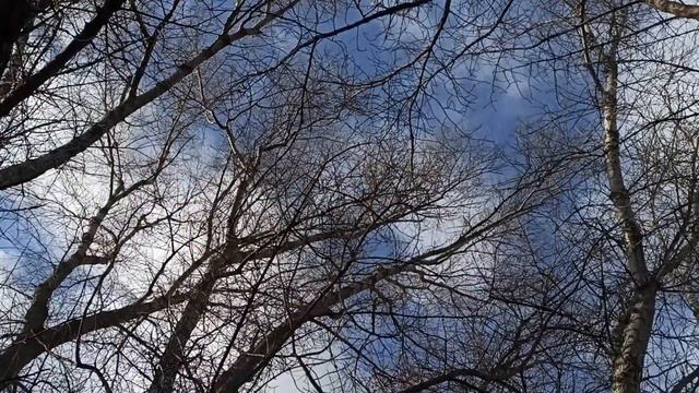 2 января праздник Игнатий Богоносец. Народные приметы и традиции. Что делать нельзя. смотреть онлайн
