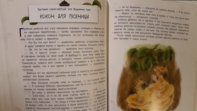Истории сказочного леса. Лесные малыши. Трутовик серно-желтый,или Ведьмина сера.Кокон для гусеницы. смотреть онлайн