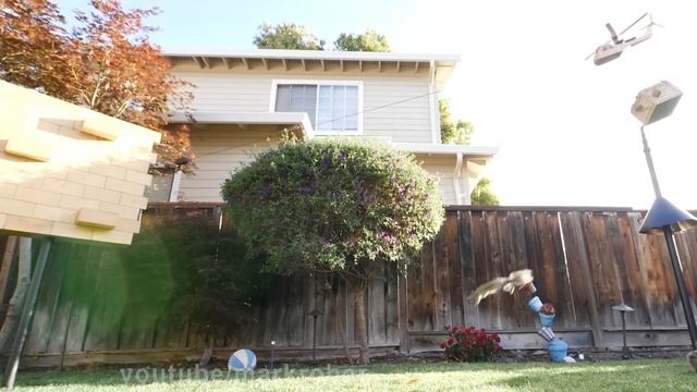 Backyard Squirrel Maze 2.0- The Walnut Heist смотреть онлайн