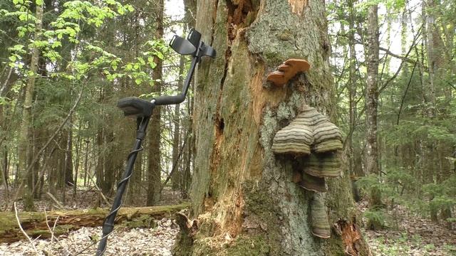 Нахожу места для поиска по старым картам смотреть онлайн