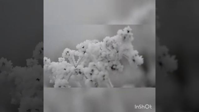 СИНИЙ ИНЕЙ !!! BONY-M смотреть онлайн