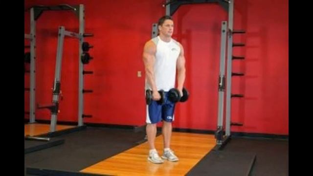 Попеременный подъём гантелей перед собой смотреть онлайн