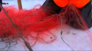 ЗИМНЯЯ РЫБАЛКА СЕТЯМИ НА РЫБИНСКОМ ВОДОХРАНИЛИЩЕ СО ЛЬДА. ПРОМЫШЛЕННАЯ ЛОВЛЯ РЫБЫ СЕТЯМИ ЗИМОЙ