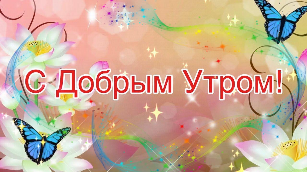 Доброе утро и Прекрасного дня Музыкальная открытка с Добрым утром и хорошим днем смотреть онлайн