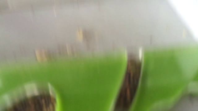 Влог 1 Что у меня нового?