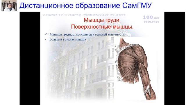 Вопросы частной миологии. Мышцы торса (туловища) смотреть онлайн