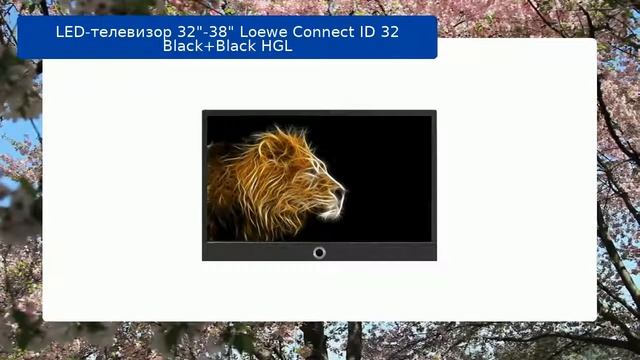 LED-телевизор 32"-38" Loewe Connect ID 32 Black+Black HGL обзор и отзыв смотреть онлайн