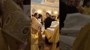 Хиротесия во чтеца и возведение в иподиакона