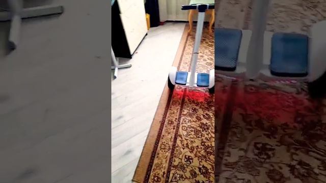 Когда сняли свет и заняться нечем 😁#сигвей смотреть онлайн