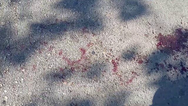 Обращение фз59 к колокольцеву министру мвд смотреть онлайн