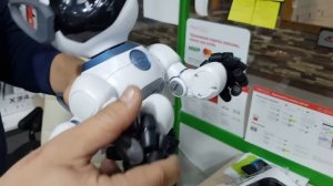 Обзор робот собака WOWWEE Chip