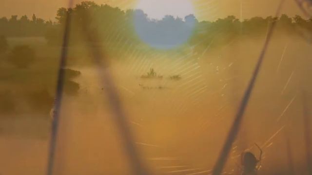 Красота,окружающая нас. смотреть онлайн