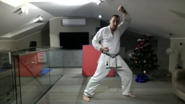 SK EDU-DO 15 ÜKE TRAINING. Coach-Konstantin Iljenko. смотреть онлайн