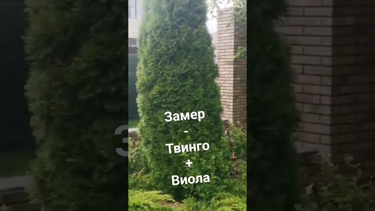 Закончена подготовка для финишного наполнения забора жалюзи. смотреть онлайн