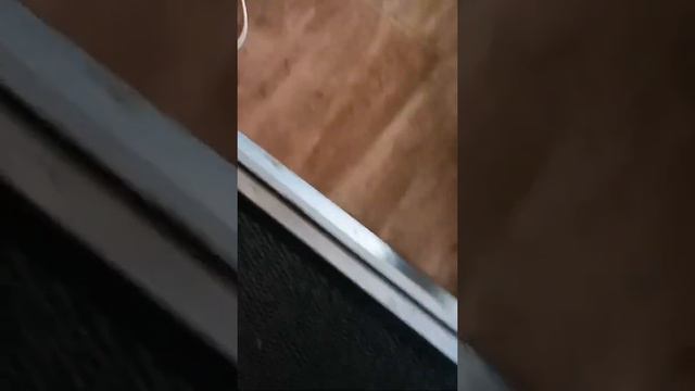 Отучаю мальтезе от лая при ожидании дома. смотреть онлайн