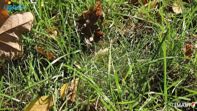 Измаил - город, которым гордимся и в котором уютно, комфортно и спокойно жить. Часть 5