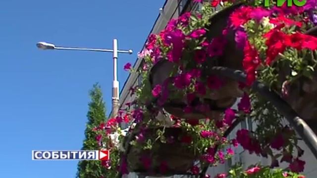 На улицах столицы 63-го региона появились вазоны с туями смотреть онлайн