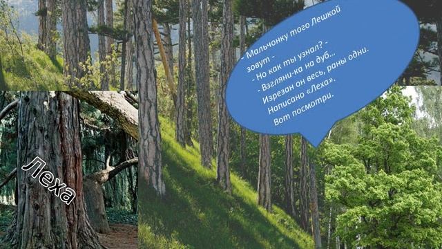 Разговор деревьев смотреть онлайн