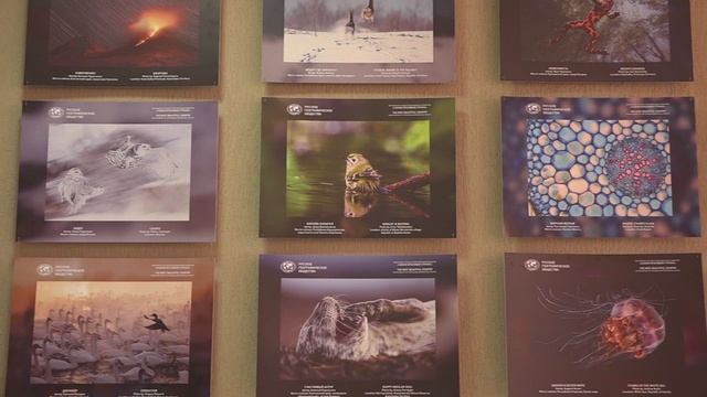 Фотовыставка 