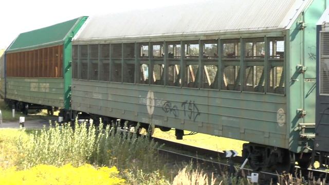 ТЕПЛОВОЗ ТГМ4-2964 НА ПЕРЕЕЗДЕ ЛЮТОРЕЦКОЕ С ВАГОНАМИ смотреть онлайн