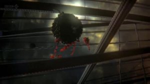 Клетка человека