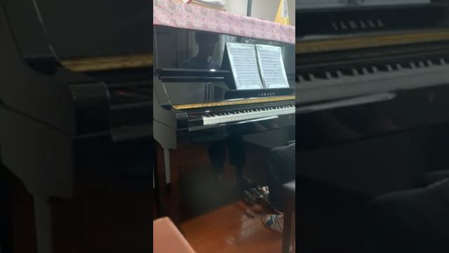 Григ песнь Сольвейг Чжао чжэнь смотреть онлайн