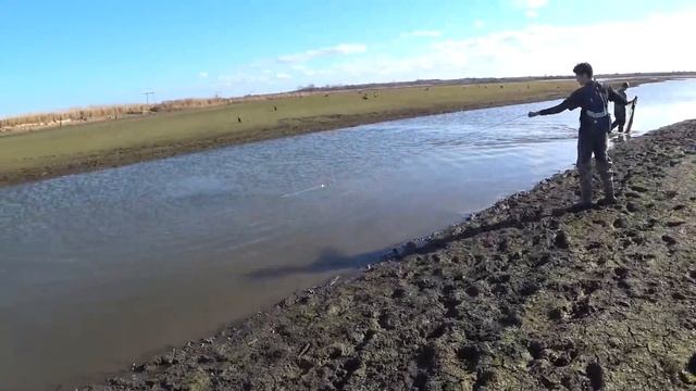 Продолжаем ловить Карася зимой-рыба есть! Рыбалка Кастинговой сетью на Краснодарском водохранилище смотреть онлайн