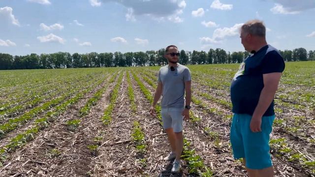 Соняшник ? посів по технології No Till. Частина 3. Юрій Дробязко.