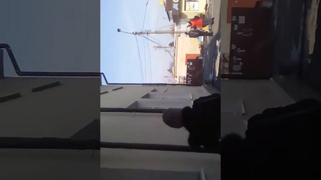 Ризіновий самотик смотреть онлайн