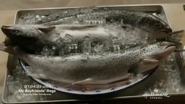 Best Hallmark Movies 2017 - New Hallmark Release Movies 2017