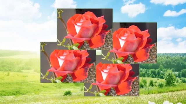 ProShow Slideshow Вальс цветов смотреть онлайн