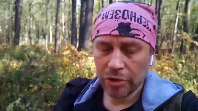 Опята осенние в засуху. Поиск на болоте. г. Липецк смотреть онлайн