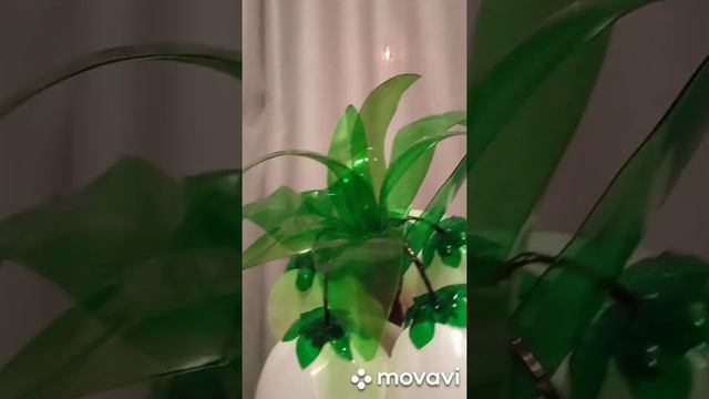 Рябчик Императорский белый из пластиковых бутылок!!! смотреть онлайн
