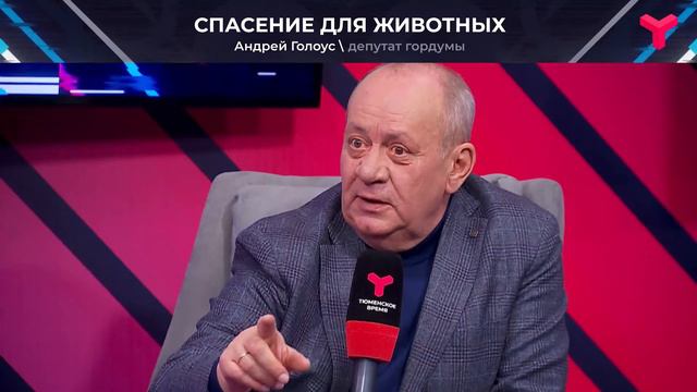 Сколько стоит жизнь животного в приюте? смотреть онлайн