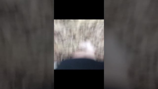 Рунтур моей комнаты смотреть онлайн