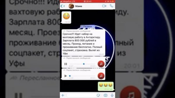 Пингвинов поднимать