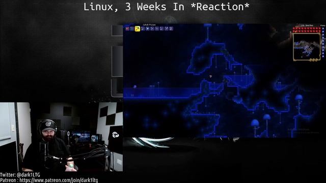 Linux, 3 Weeks In *REACTION* смотреть онлайн