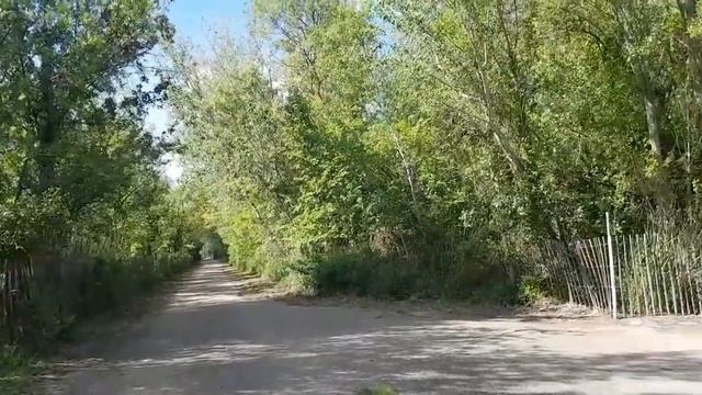 У Мужа ещё тот Характер! Общительные Французы. Пляжи готовы. Супер Рецепт здоровья. Реальная Франци смотреть онлайн