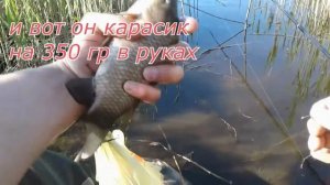 Ловля карася на пробку