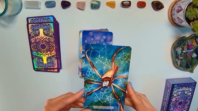 78 TAROT ANIMAL ?? Newly Released Deck Via Kickstarter ?✨ смотреть онлайн