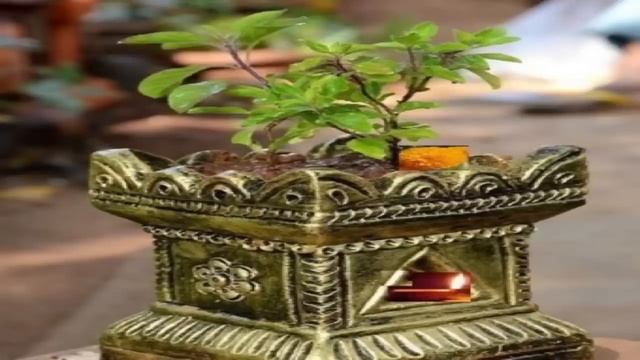 कार्तिक मास में तुलसी पूजन विधि |तुलसी में दीपक कब कैसे जलाएं | तुलसी पूजा विधि ।Tulsi Puja Vidhi смотреть онлайн