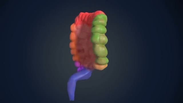 99% людей не ДОГАДЫВАЮТСЯ, Что Творит КАБАЧОК, даже один кусочек..... смотреть онлайн
