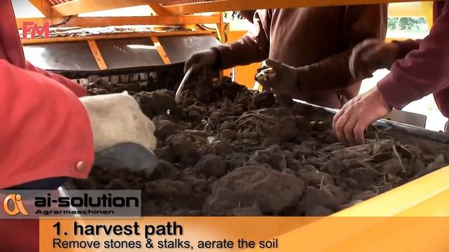 Amazing Growing & Harvesting Asparagus Technology.Asparagus Processing in Factory. Asparagus Farmin смотреть онлайн