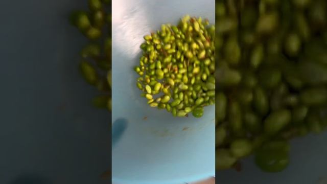 ПОКЕ С ЛОСОСЕМ смотреть онлайн