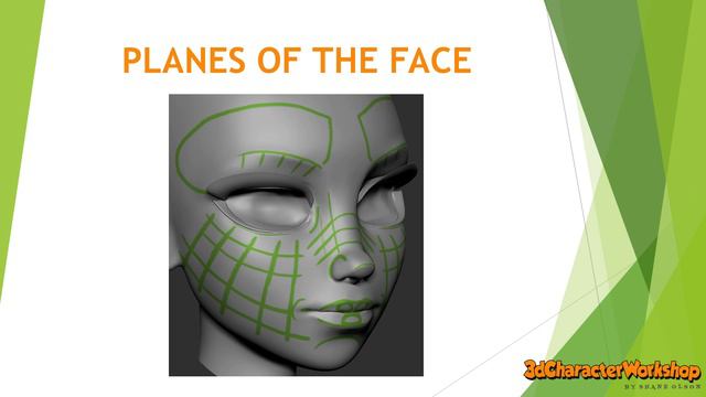 [ZBrush] Module 5 - Detailing the Head and Hair - 3. Detailing the Face смотреть онлайн
