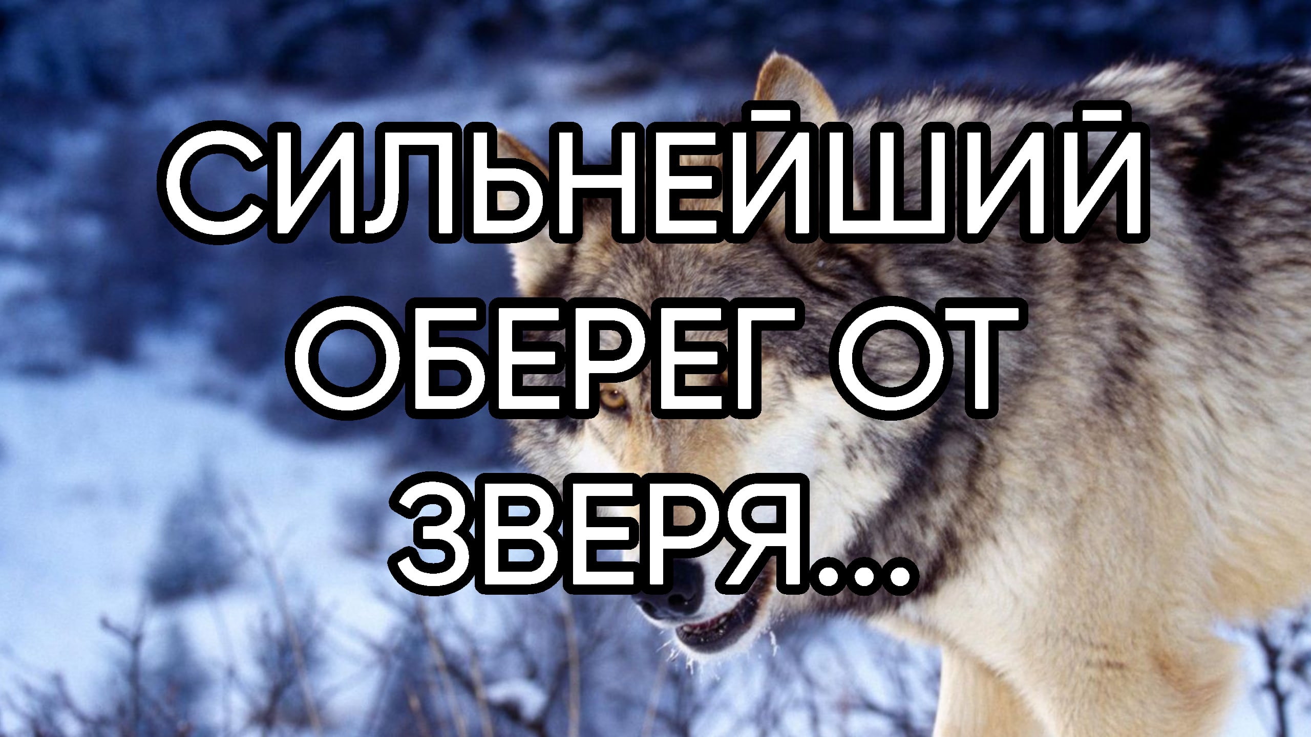 СИЛЬНЕЙШИЙ ОБЕРЕГ ОТ ЗВЕРЯ.....ДЛЯ ВСЕХ...
