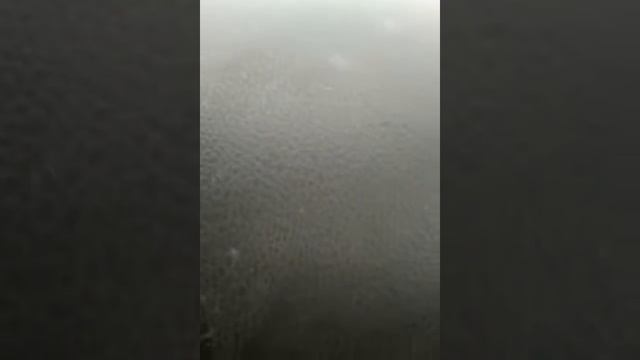 Отправить смотреть онлайн