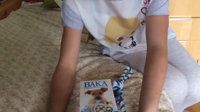 День рождение Евы! смотреть онлайн